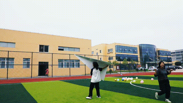 1686101176674343.gif 6.gif