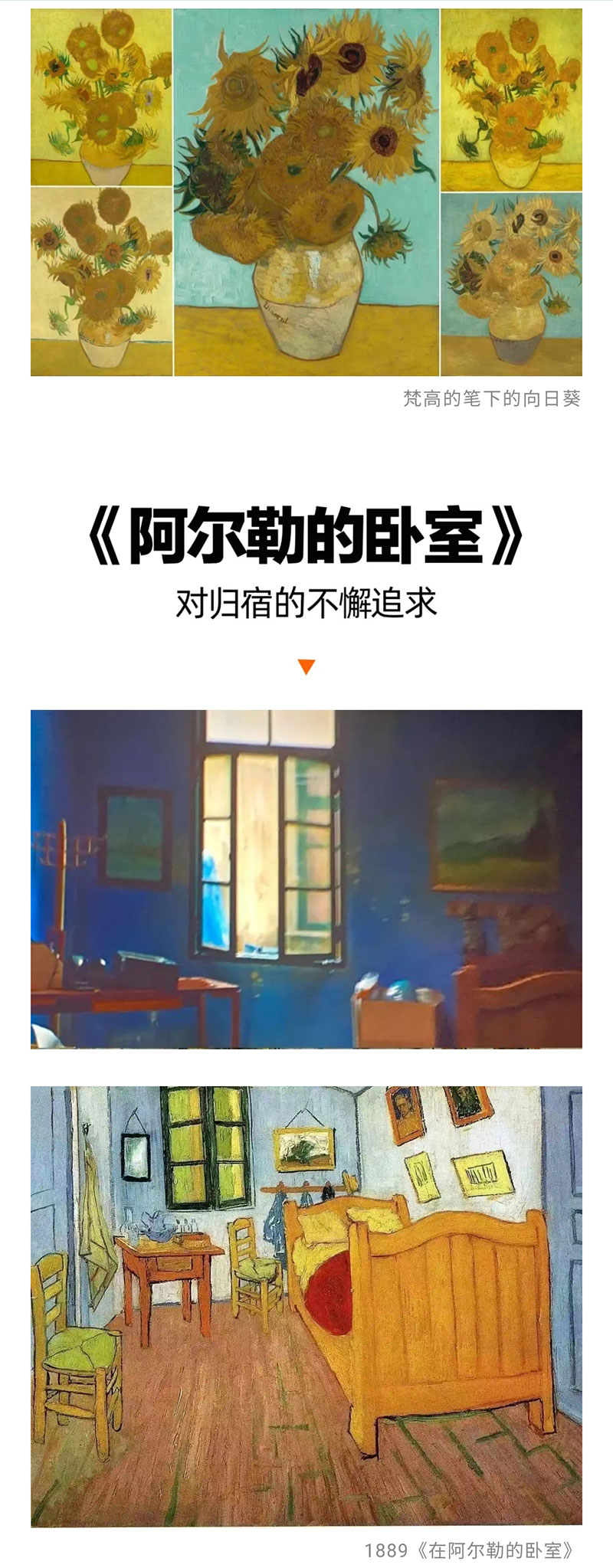 1688371557475869.jpg 12.jpg