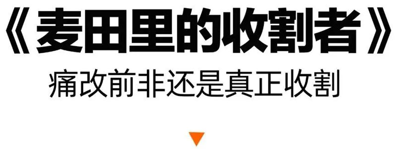 1688371826361905.jpg 18.jpg