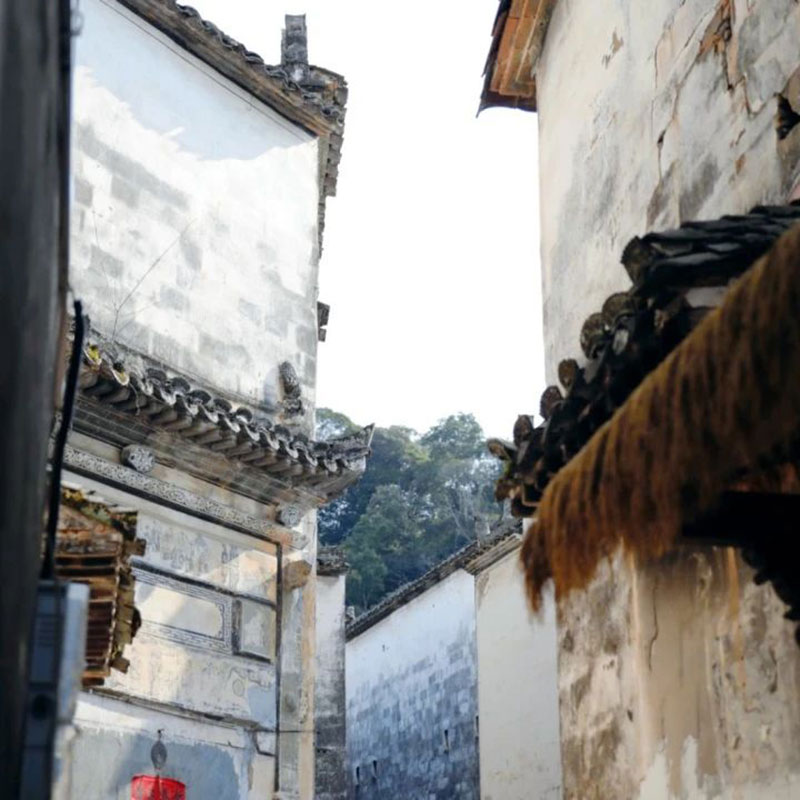 1755326151996602.jpg 2.jpg