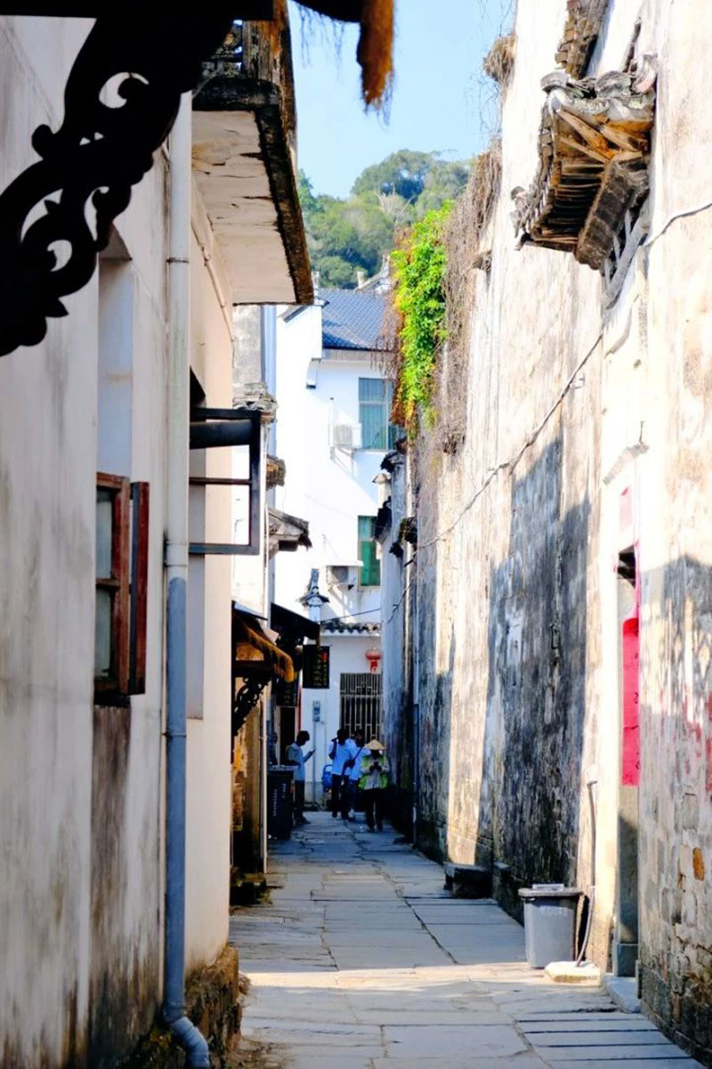 1755326160232269.jpg 3.jpg