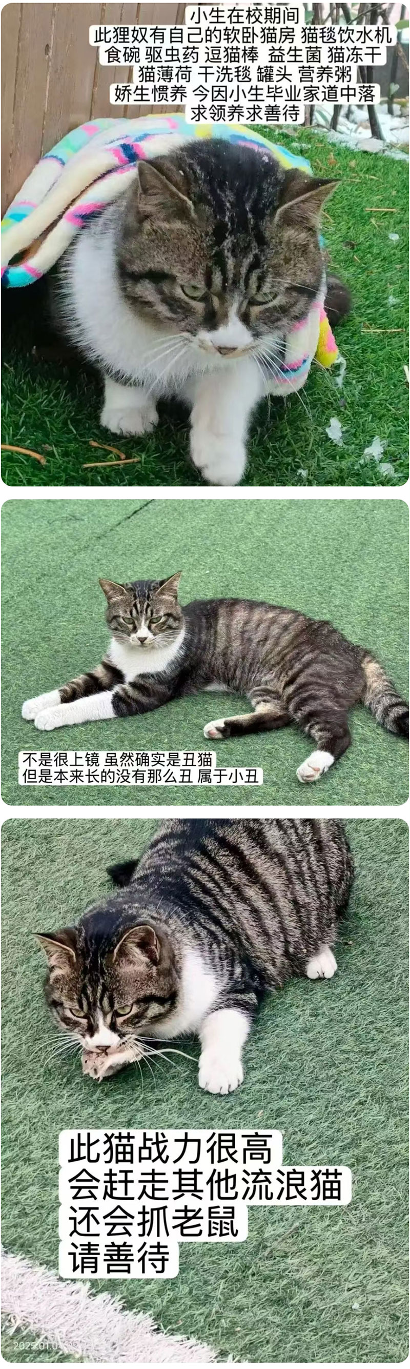 1759540533908454.jpg 5.jpg